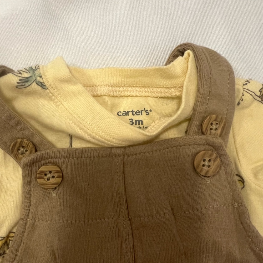 Carter's lion outfit